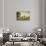 Osterley Park-Anthony Devis-Giclee Print displayed on a wall