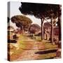 Ostia Antica, Port of Rome, Italy, c2nd-3rd century, (c20th century)-CM Dixon-Stretched Canvas