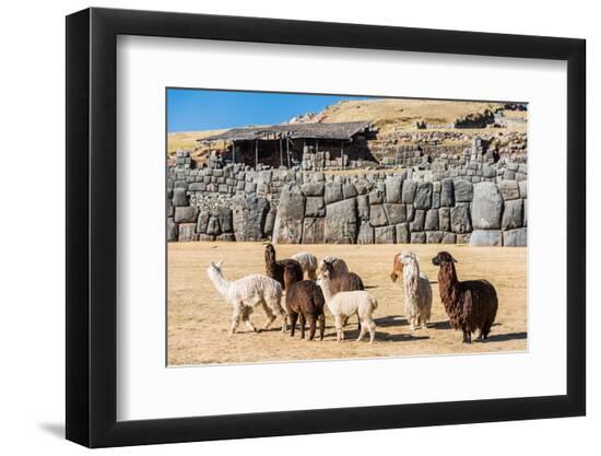 Premium Photographic Print, , large
