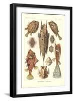 Ostracion - Teleosts, Pl.42 from 'Kunstformen Der Natur', Engraved by Adolf Giltsch, Published 1904-Ernst Haeckel-Framed Premium Giclee Print