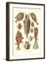 Ostracion - Teleosts, Pl.42 from 'Kunstformen Der Natur', Engraved by Adolf Giltsch, Published 1904-Ernst Haeckel-Framed Giclee Print