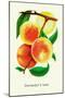 Ostrander's Late Peaches-null-Mounted Art Print