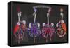 Ostrich, Can Can Troupe-Fab Funky-Framed Stretched Canvas