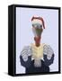 Ostrich, Carol Singing-Fab Funky-Framed Stretched Canvas