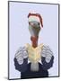 Ostrich, Carol Singing-Fab Funky-Mounted Art Print