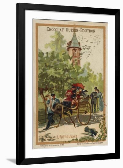 Ostrich Cart-null-Framed Giclee Print