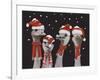 Ostrich, Christmas Gals-Fab Funky-Framed Art Print