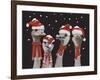 Ostrich, Christmas Gals-Fab Funky-Framed Art Print