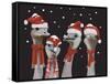 Ostrich, Christmas Gals-Fab Funky-Framed Stretched Canvas