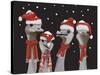 Ostrich, Christmas Gals-Fab Funky-Stretched Canvas