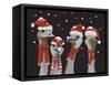 Ostrich, Christmas Gals-Fab Funky-Framed Stretched Canvas