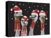 Ostrich, Christmas Gals-Fab Funky-Stretched Canvas