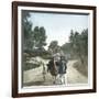 Ostrich-Drawn Carriage, Paris, Zoological Garden, Circa 1890-Leon, Levy et Fils-Framed Photographic Print