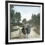 Ostrich-Drawn Carriage, Paris, Zoological Garden, Circa 1890-Leon, Levy et Fils-Framed Photographic Print