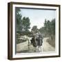 Ostrich-Drawn Carriage, Paris, Zoological Garden, Circa 1890-Leon, Levy et Fils-Framed Photographic Print