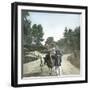 Ostrich-Drawn Carriage, Paris, Zoological Garden, Circa 1890-Leon, Levy et Fils-Framed Photographic Print