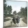 Ostrich-Drawn Carriage, Paris, Zoological Garden, Circa 1890-Leon, Levy et Fils-Mounted Photographic Print