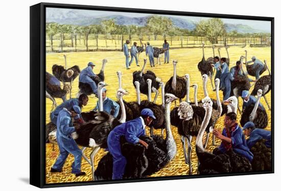 Ostrich Farm, 1988-Komi Chen-Framed Stretched Canvas