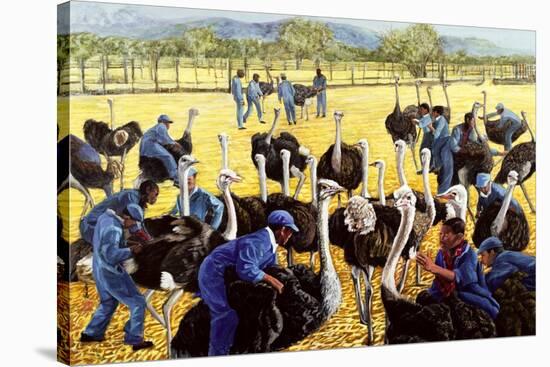 Ostrich Farm, 1988-Komi Chen-Stretched Canvas