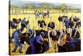 Ostrich Farm, 1988-Komi Chen-Stretched Canvas