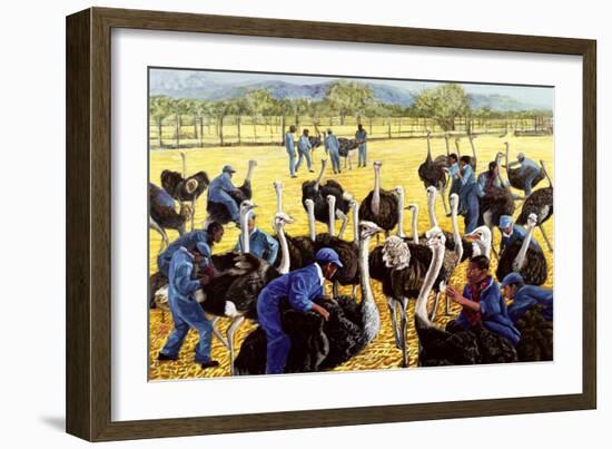 Ostrich Farm, 1988-Komi Chen-Framed Giclee Print