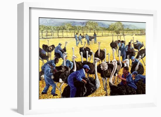 Ostrich Farm, 1988-Komi Chen-Framed Giclee Print