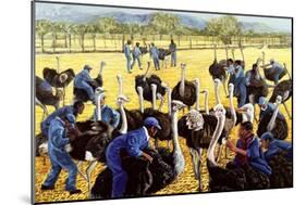 Ostrich Farm, 1988-Komi Chen-Mounted Giclee Print