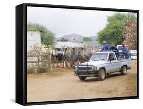 Ostrich Farm in Oudtshoorn, Little Karoo, South Affrica-Fraser Hall-Framed Stretched Canvas