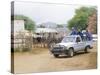 Ostrich Farm in Oudtshoorn, Little Karoo, South Affrica-Fraser Hall-Stretched Canvas