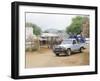 Ostrich Farm in Oudtshoorn, Little Karoo, South Affrica-Fraser Hall-Framed Photographic Print