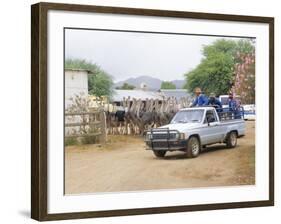 Ostrich Farm in Oudtshoorn, Little Karoo, South Affrica-Fraser Hall-Framed Photographic Print