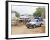 Ostrich Farm in Oudtshoorn, Little Karoo, South Affrica-Fraser Hall-Framed Photographic Print