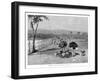 Ostrich Farm Near Port Augusta, South Australia, 1886-Frank P Mahony-Framed Giclee Print