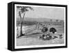 Ostrich Farm Near Port Augusta, South Australia, 1886-Frank P Mahony-Framed Stretched Canvas