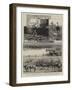 Ostrich Farming at Heatherton, Near Grahamstown, South Africa-null-Framed Giclee Print