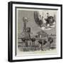 Ostrich-Farming at Los Angeles, California-null-Framed Giclee Print