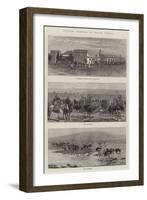 Ostrich Farming in South Africa-null-Framed Giclee Print