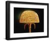 Ostrich-Feather Fan, from the Tomb of Tutankhamun-Egyptian 18th Dynasty-Framed Giclee Print