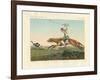 Ostrich Hunting-null-Framed Giclee Print