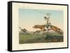 Ostrich Hunting-null-Framed Stretched Canvas