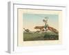 Ostrich Hunting-null-Framed Giclee Print