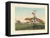 Ostrich Hunting-null-Framed Stretched Canvas