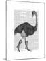 Ostrich in Boots-Fab Funky-Mounted Art Print