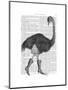 Ostrich in Boots-Fab Funky-Mounted Art Print