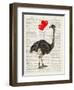 Ostrich In Love-Christopher James-Framed Art Print