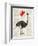 Ostrich In Love-Christopher James-Framed Art Print