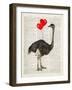 Ostrich In Love-Christopher James-Framed Art Print