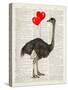 Ostrich In Love-Christopher James-Stretched Canvas