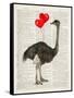 Ostrich In Love-Christopher James-Framed Stretched Canvas