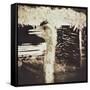 Ostrich in Profile-Theo Westenberger-Framed Stretched Canvas
